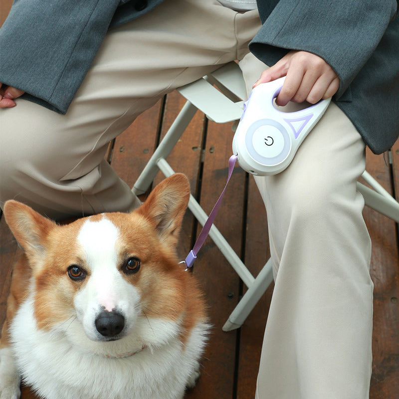 Retractable Dog Leash with LED Light & Collar – Automatic Pet Traction Rope for Small & Medium Dogs, Cats