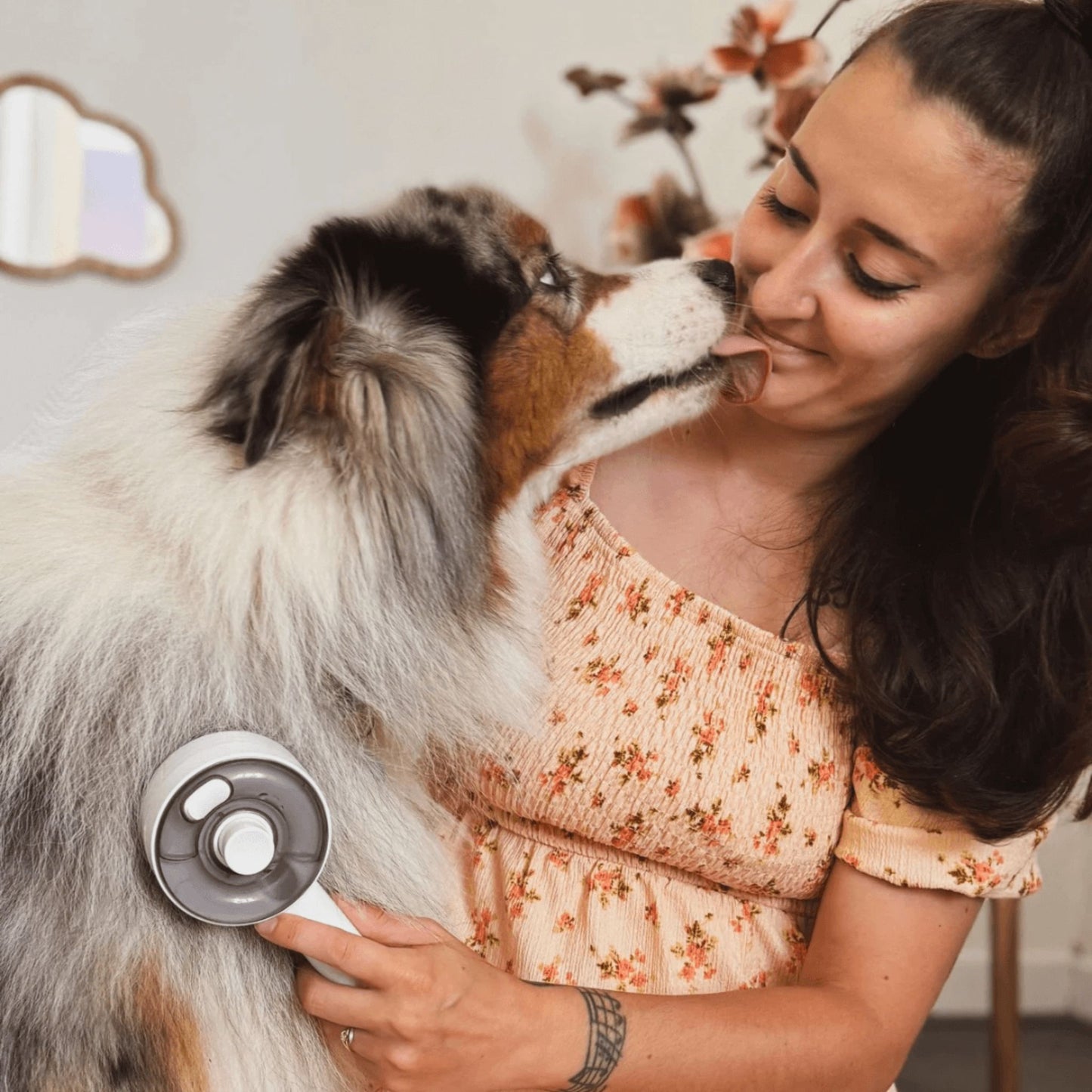 Brosse Chat Vapeur 4 en 1 Brosse pour Chien et Chats Poil Long Court Autonettoyant Brosses Vapeur Chat Peigne de Spray pour Massage, Toilettage et Épilation pour Animaux Chats Chien Lapin